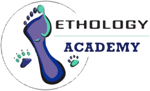 Ethology Academy Portal